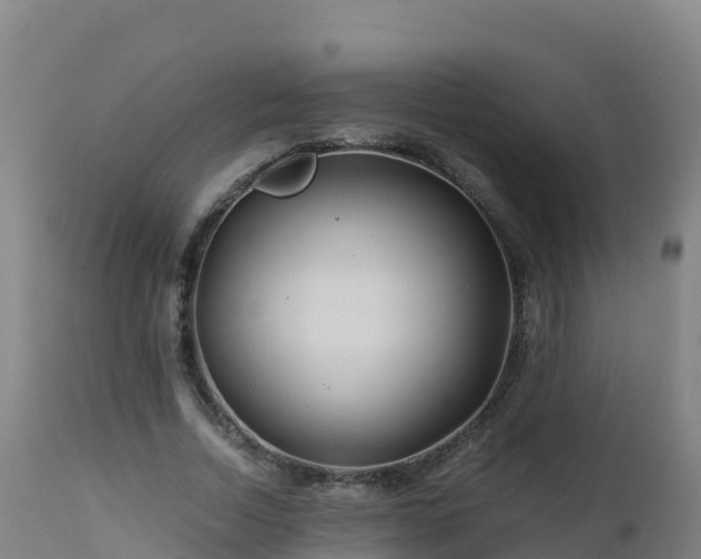 X0000112900730200908281724