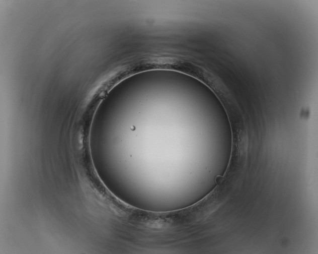 X0000112900731200908281724