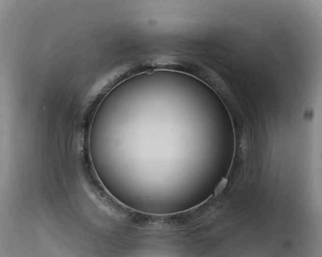 X0000112900732200908281724