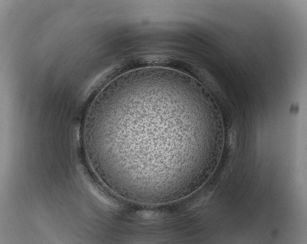 X0000112900733200908281724