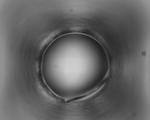 X0000112900734200908281724