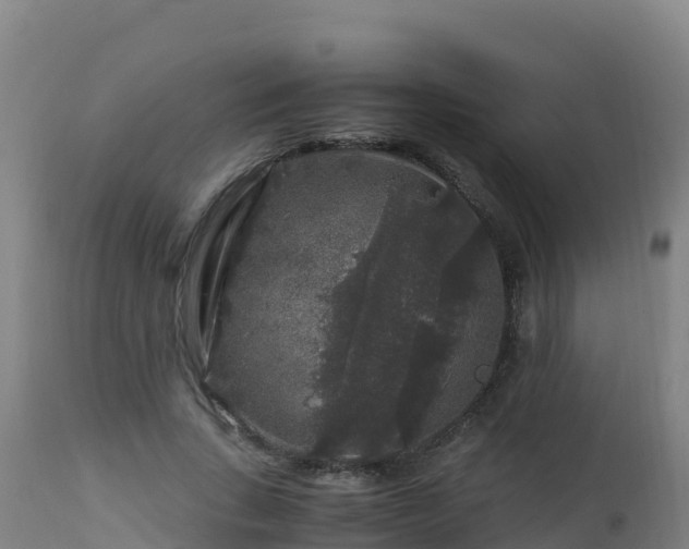 X0000112900735200908281724