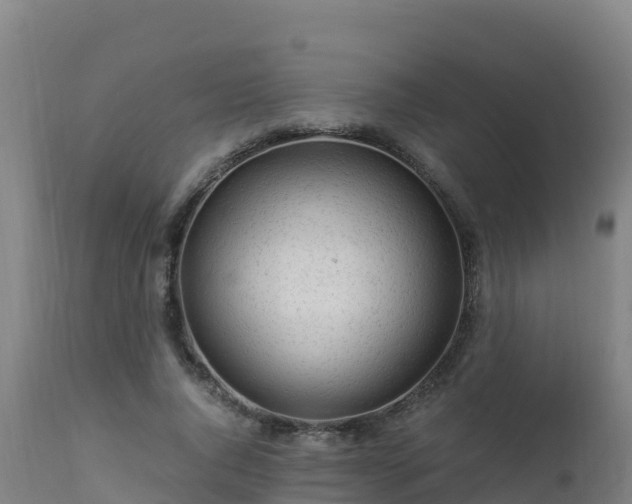 X0000112900736200908281724