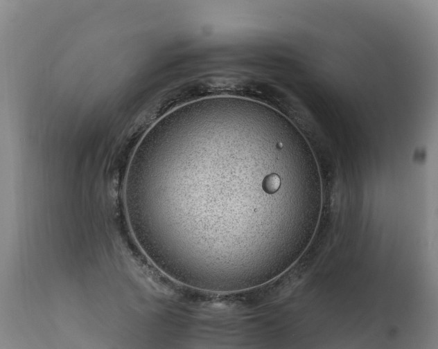 X0000112900737200908281724