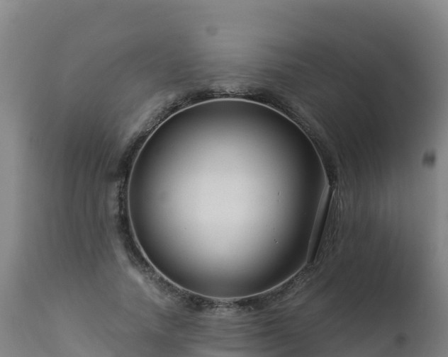 X0000112900738200908281724