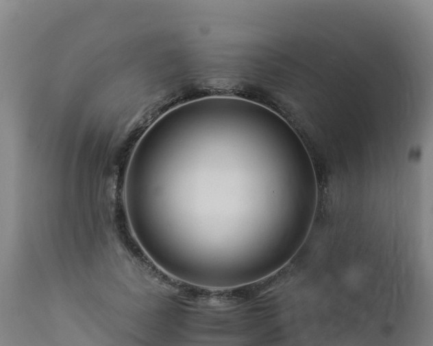 X0000112900739200908281724