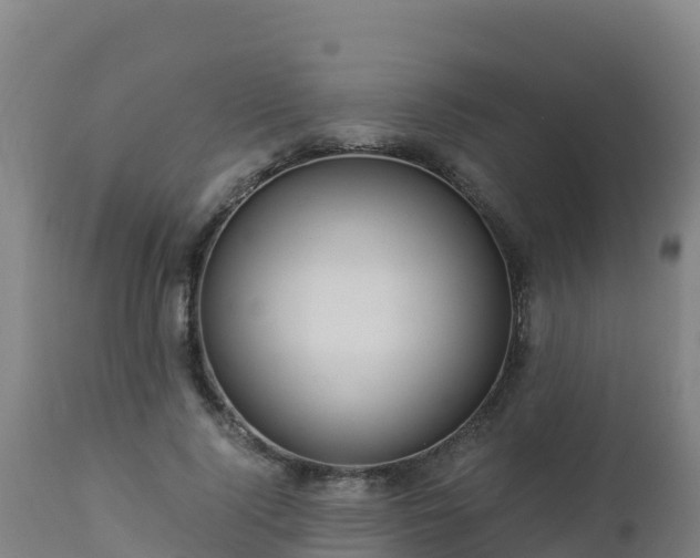 X0000112900740200908281724