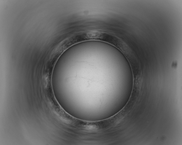 X0000112900741200908281724