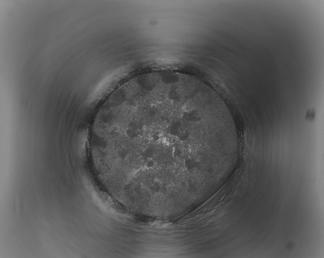 X0000112900742200908281724