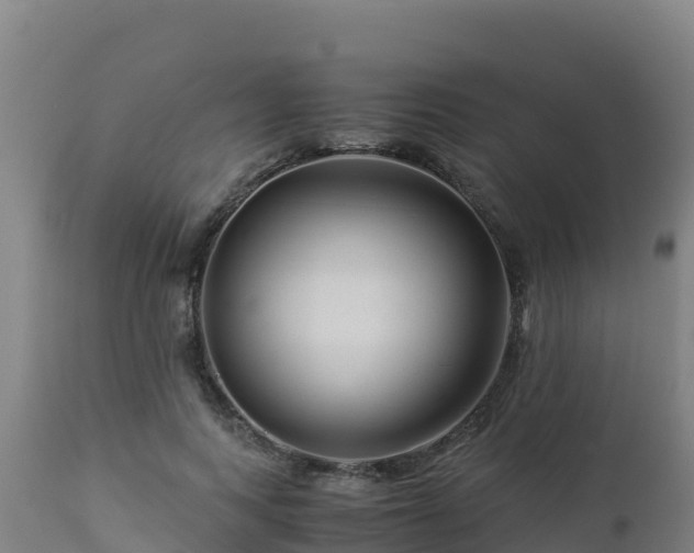 X0000112900743200908281724