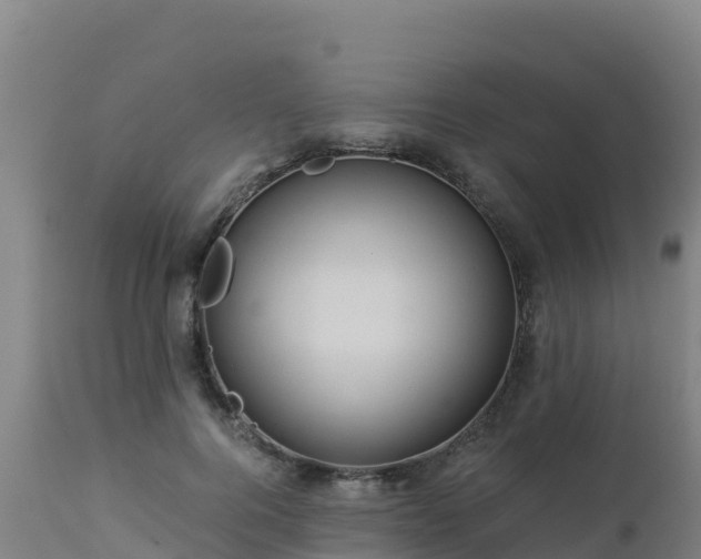 X0000112900744200908281724