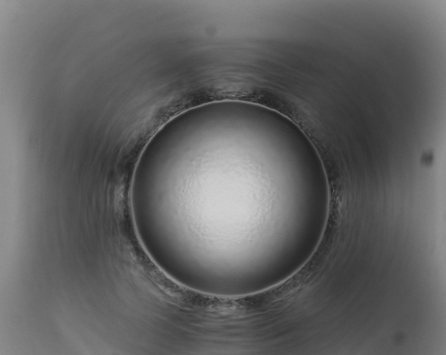 X0000112900745200908281724