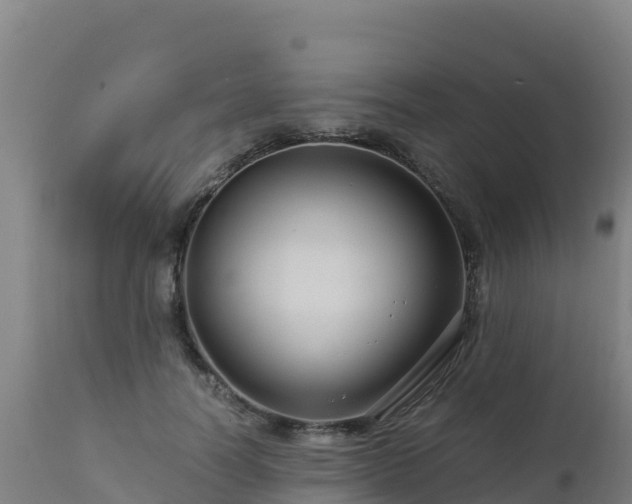 X0000112900746200908281724