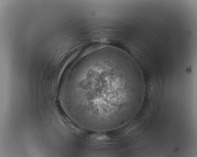 X0000112900747200908281724