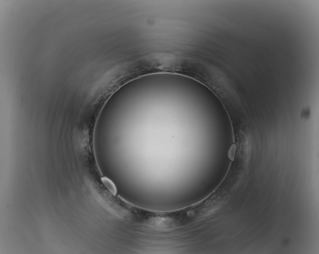 X0000112900748200908281724