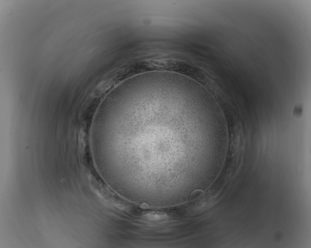 X0000112900749200908281725