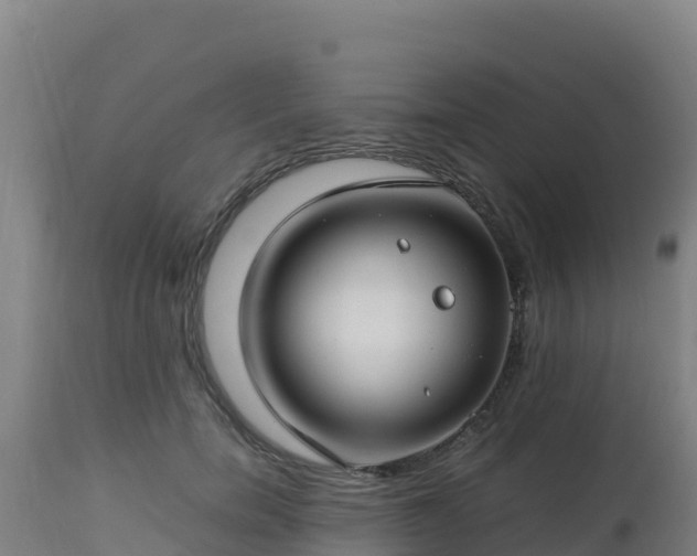 X0000112900750200908281725