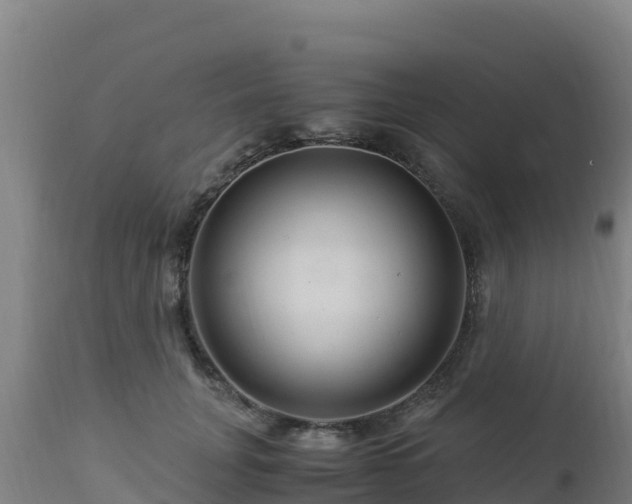 X0000112900751200908281725