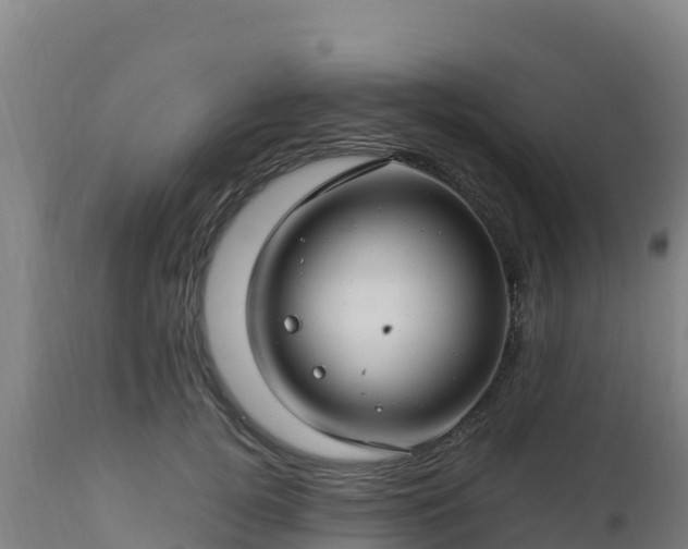 X0000112900752200908281725