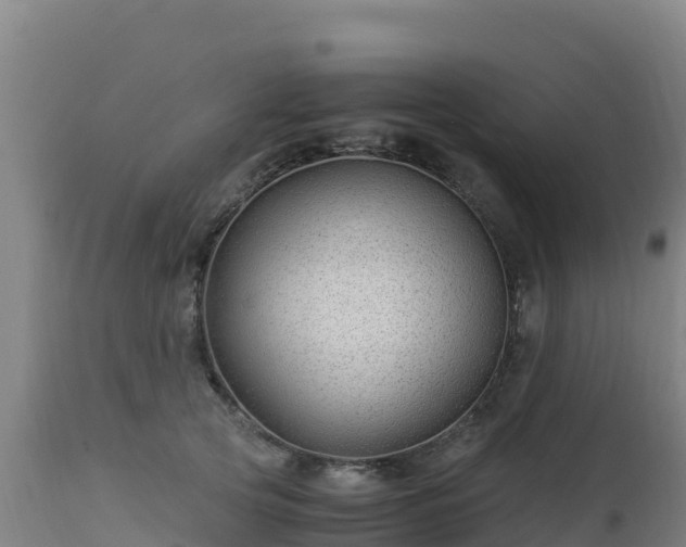 X0000112900753200908281725