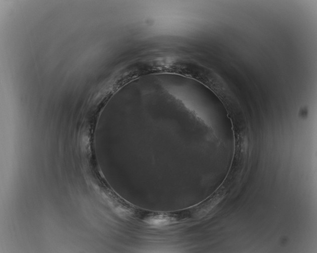 X0000112900754200908281725