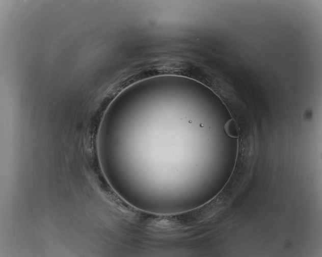 X0000112900755200908281725