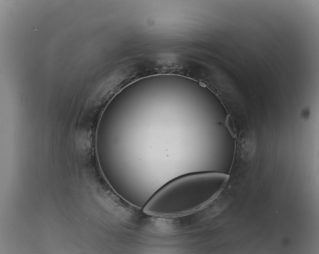 X0000112900756200908281725