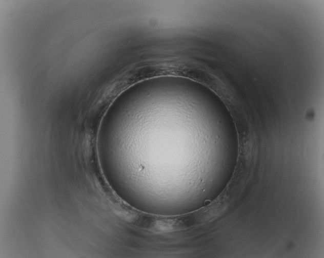 X0000112900757200908281725