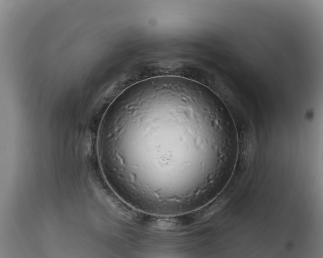 X0000112900758200908281725