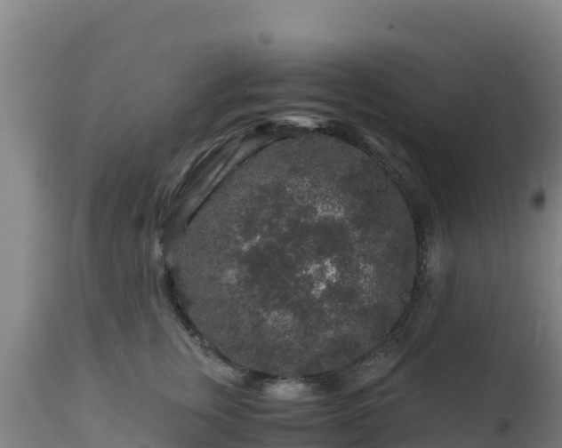 X0000112900759200908281725