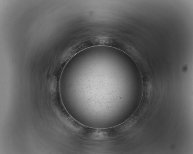 X0000112900760200908281725