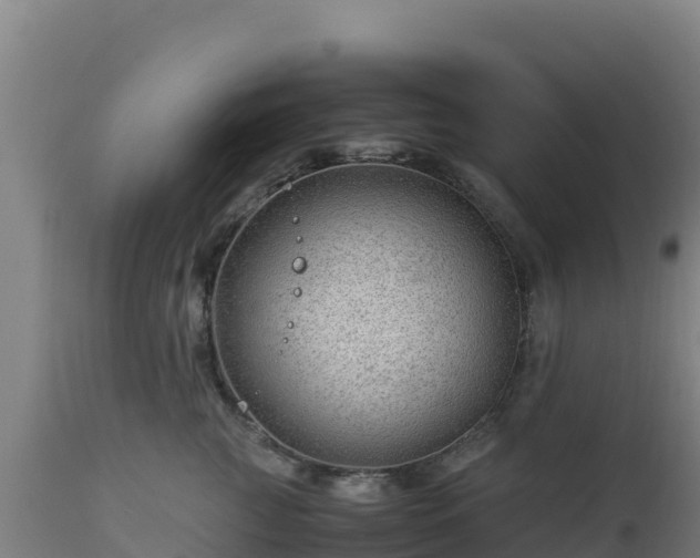 X0000112900761200908281725