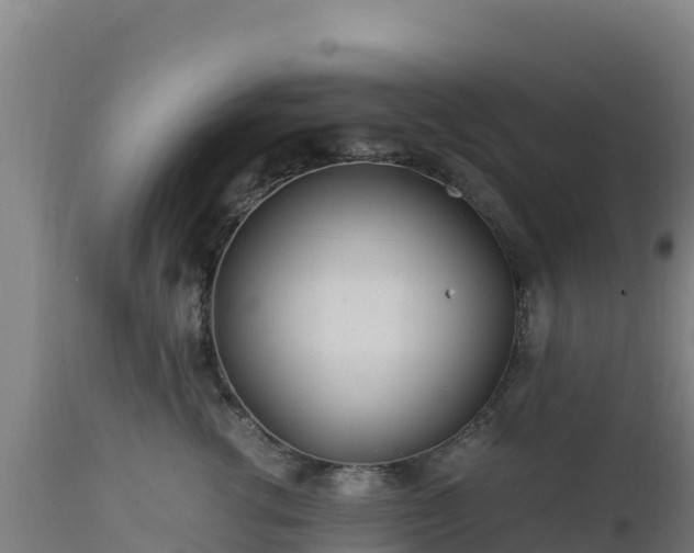 X0000112900762200908281725