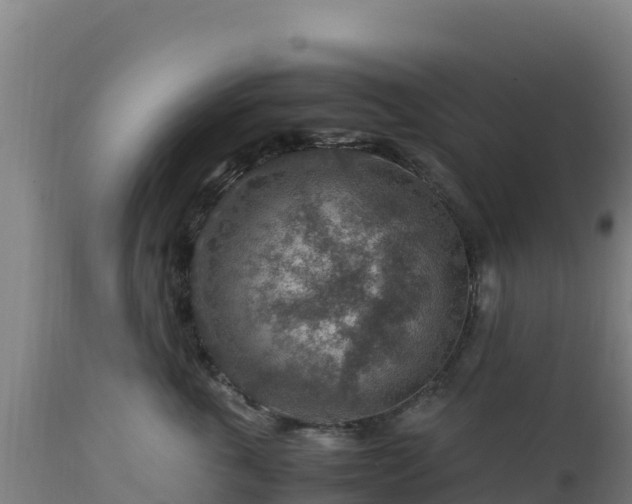 X0000112900763200908281725