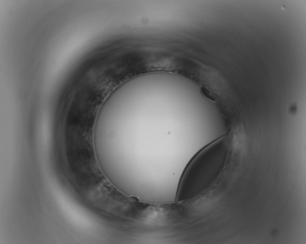 X0000112900764200908281725