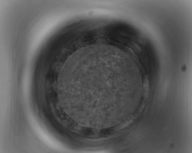 X0000112900765200908281725