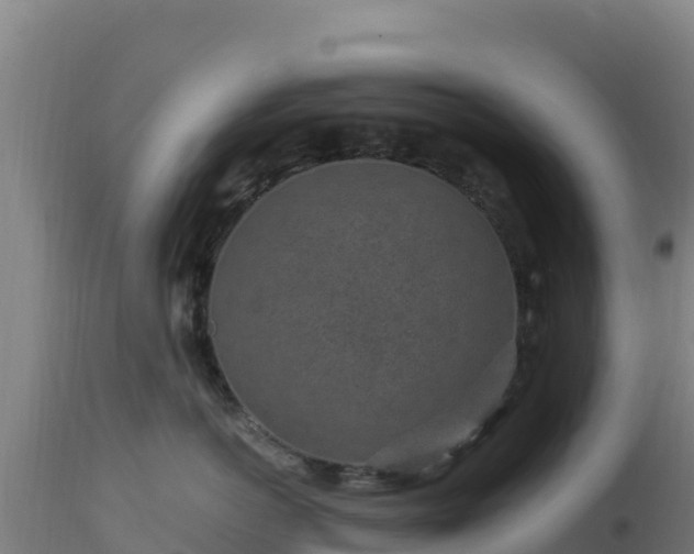 X0000112900766200908281725