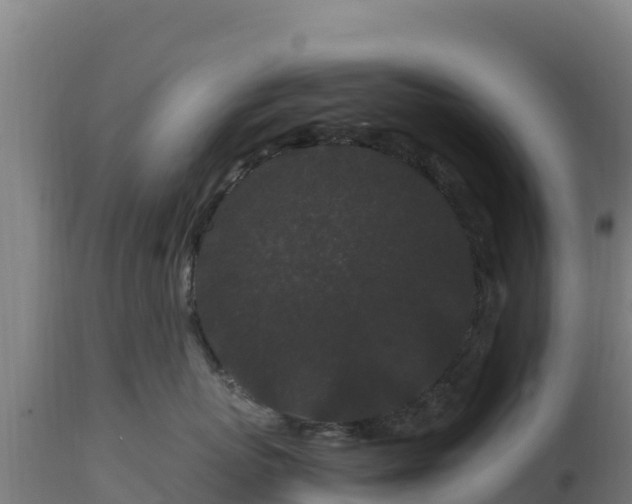 X0000112900767200908281725