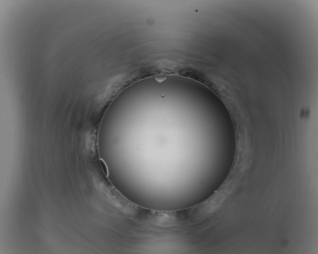 X0000112900768200908281725