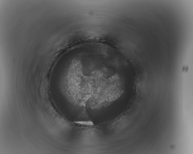 X0000112900769200908281724