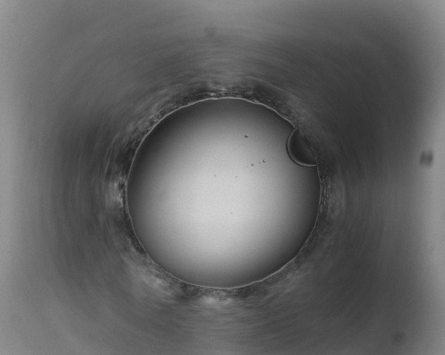 X0000112900770200908281724