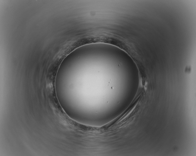 X0000112900771200908281724