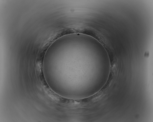 X0000112900772200908281724