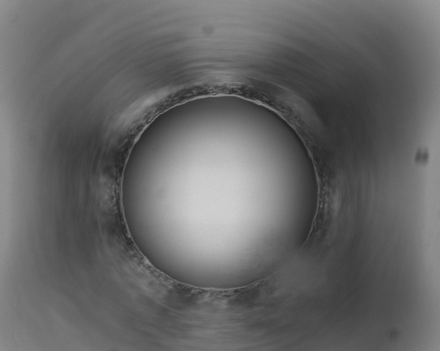 X0000112900773200908281724