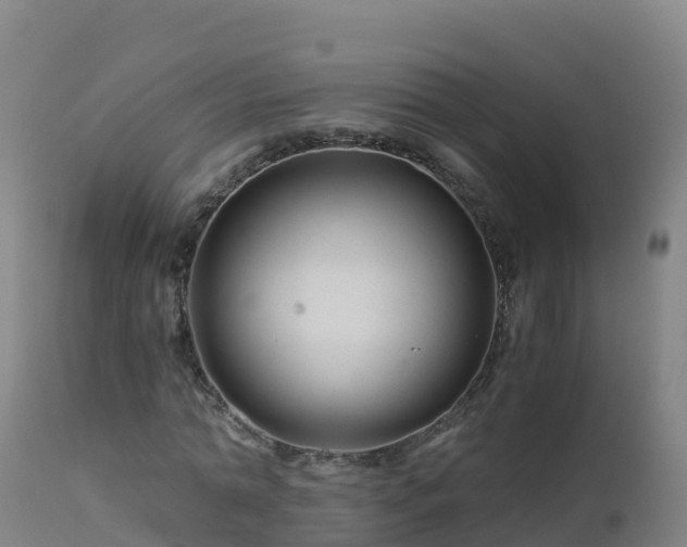 X0000112900774200908281724