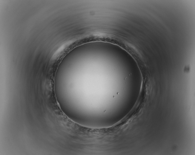 X0000112900776200908281724