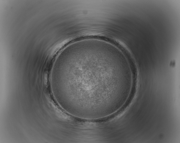 X0000112900777200908281724