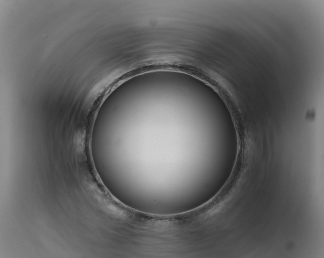 X0000112900778200908281724