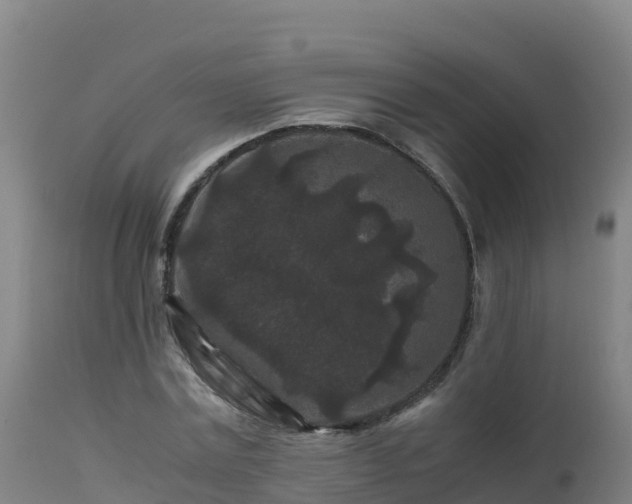 X0000112900779200908281724