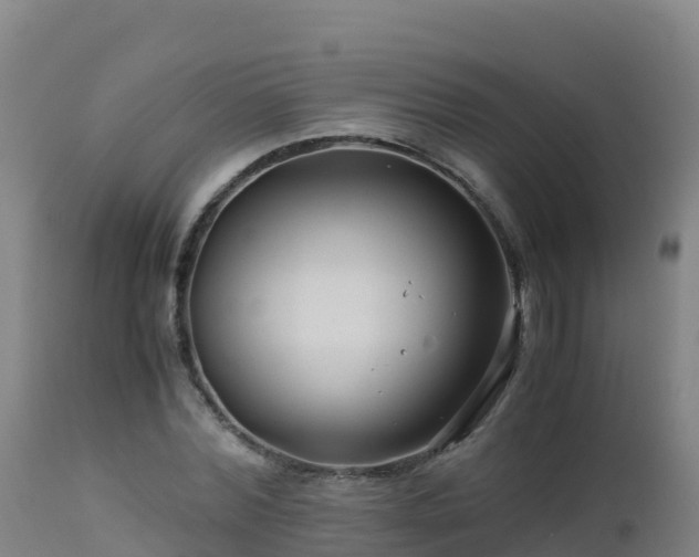 X0000112900780200908281724